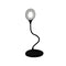 Full Spectrum Lamp Black